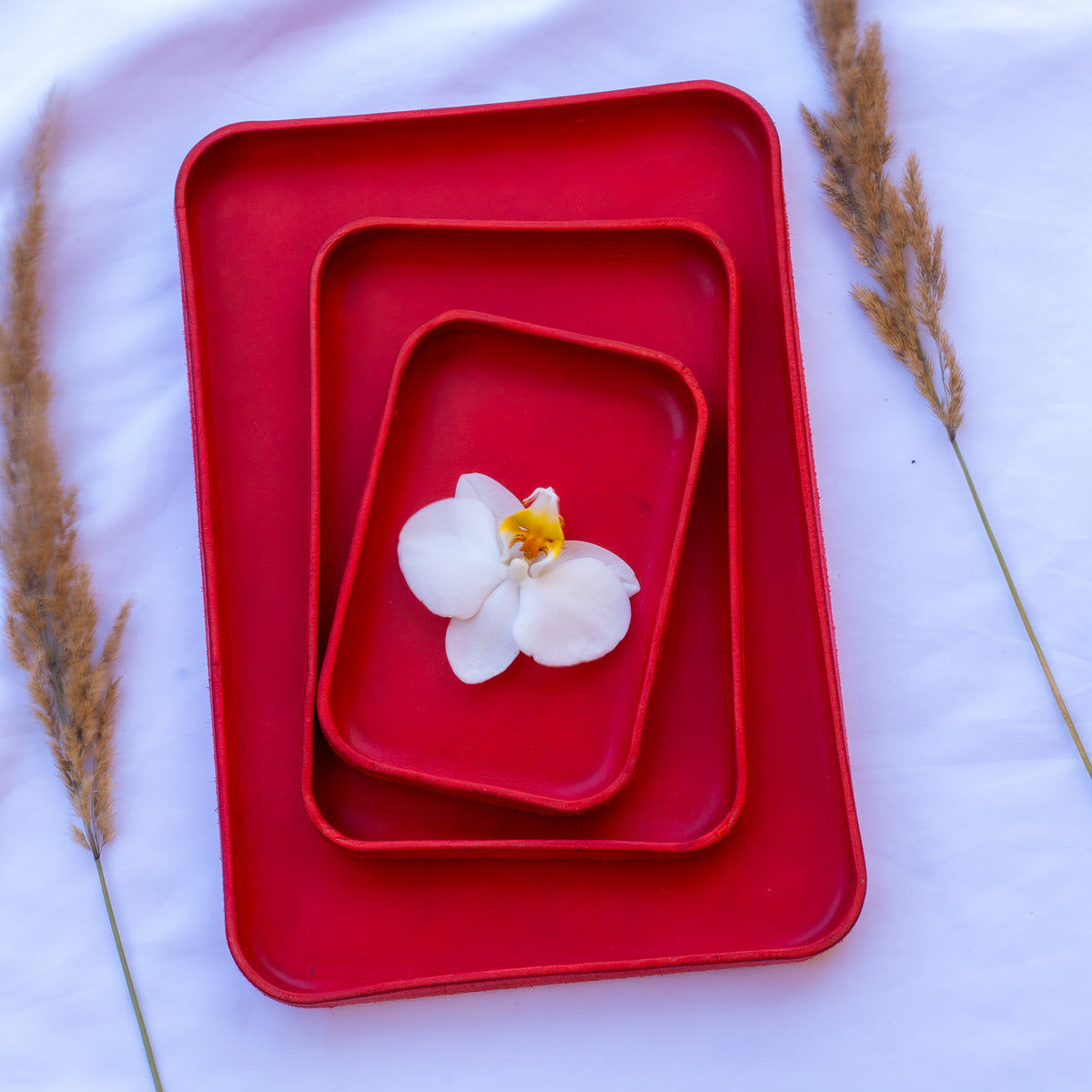 Rotes Ledertray Organizer | Taschenleerer | Buttero-Leder