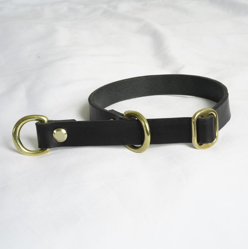 Handgefertigtes Leder Hundehalsband | Pflanzlich Gegerbtes Premium Leder | Namensgravur | Messing Hardware | Geschenk für Hunde