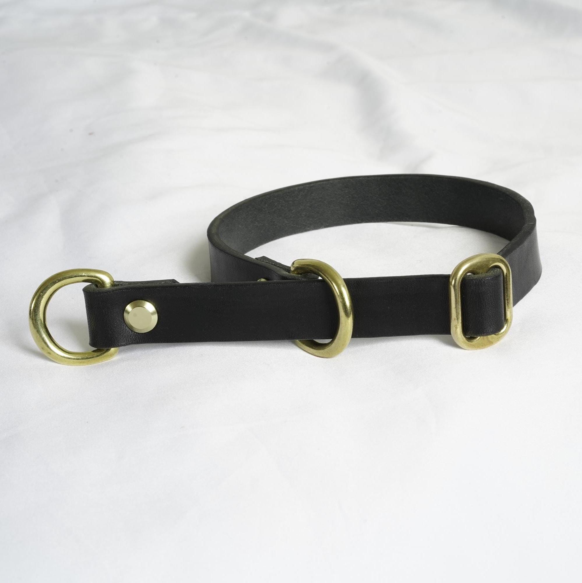 Handgefertigtes Leder Hundehalsband | Pflanzlich Gegerbtes Premium Leder | Namensgravur | Messing Hardware | Geschenk für Hunde