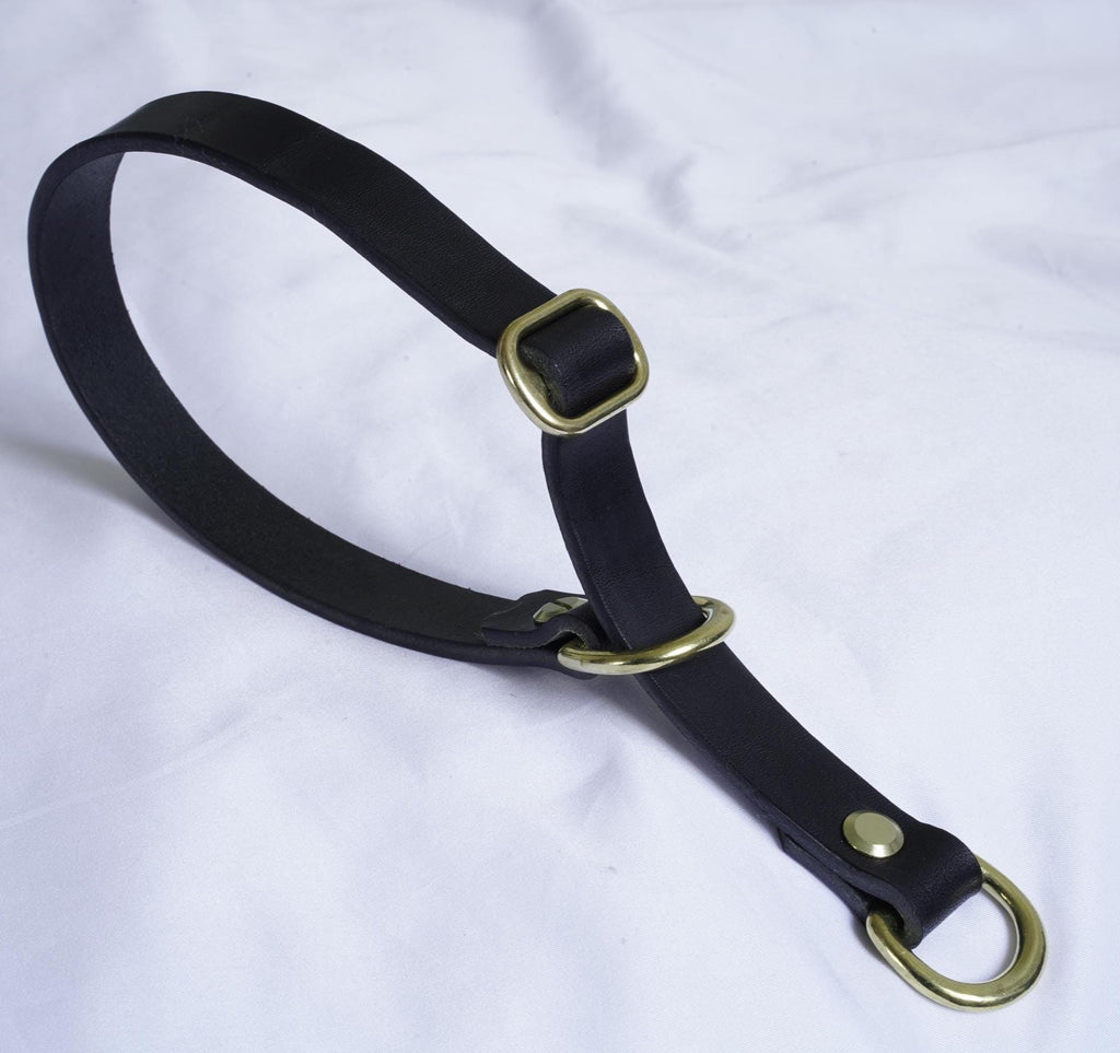 Handgefertigtes Leder Hundehalsband | Pflanzlich Gegerbtes Premium Leder | Namensgravur | Messing Hardware | Geschenk für Hunde