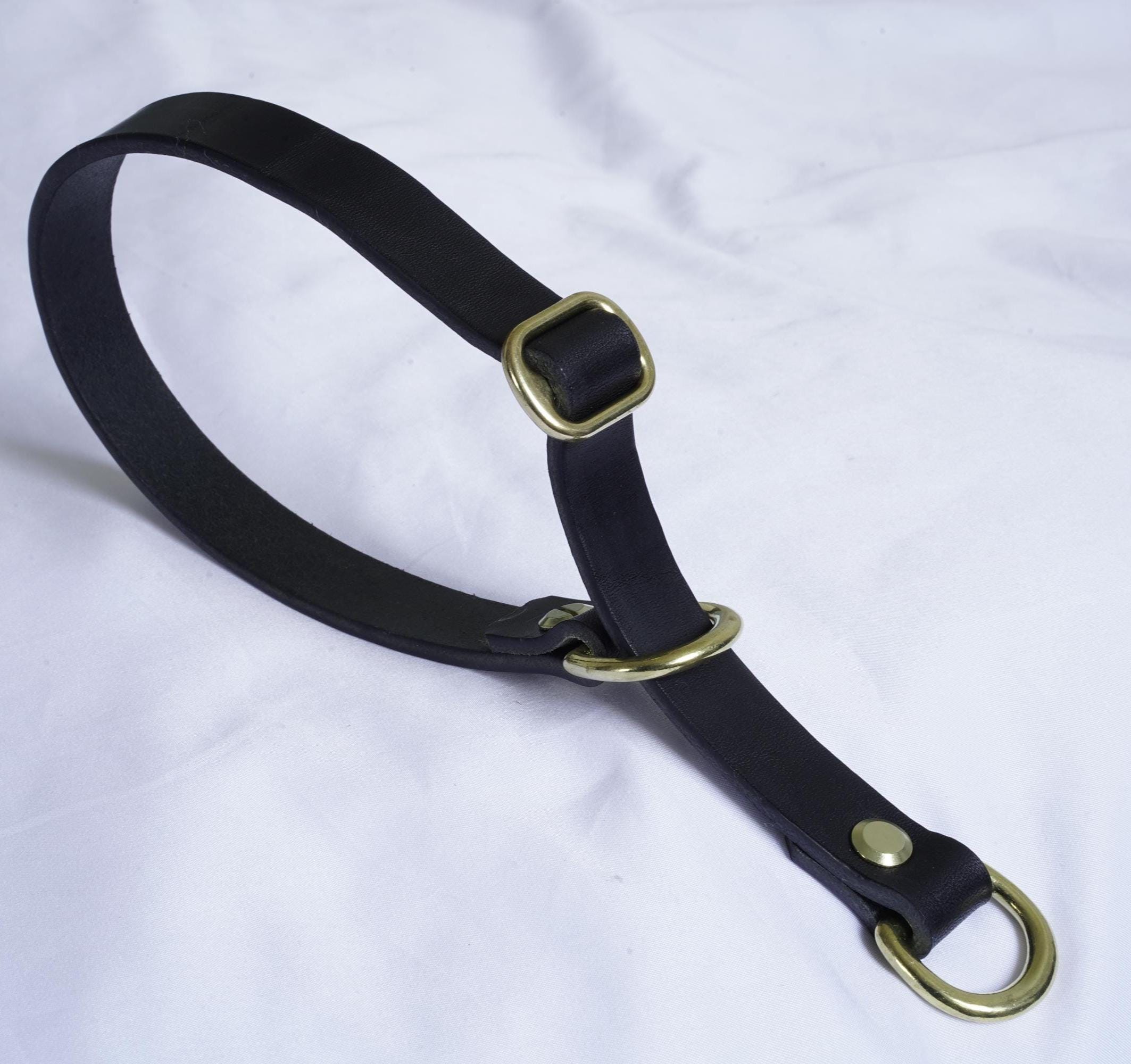 Handgefertigtes Leder Hundehalsband | Pflanzlich Gegerbtes Premium Leder | Namensgravur | Messing Hardware | Geschenk für Hunde