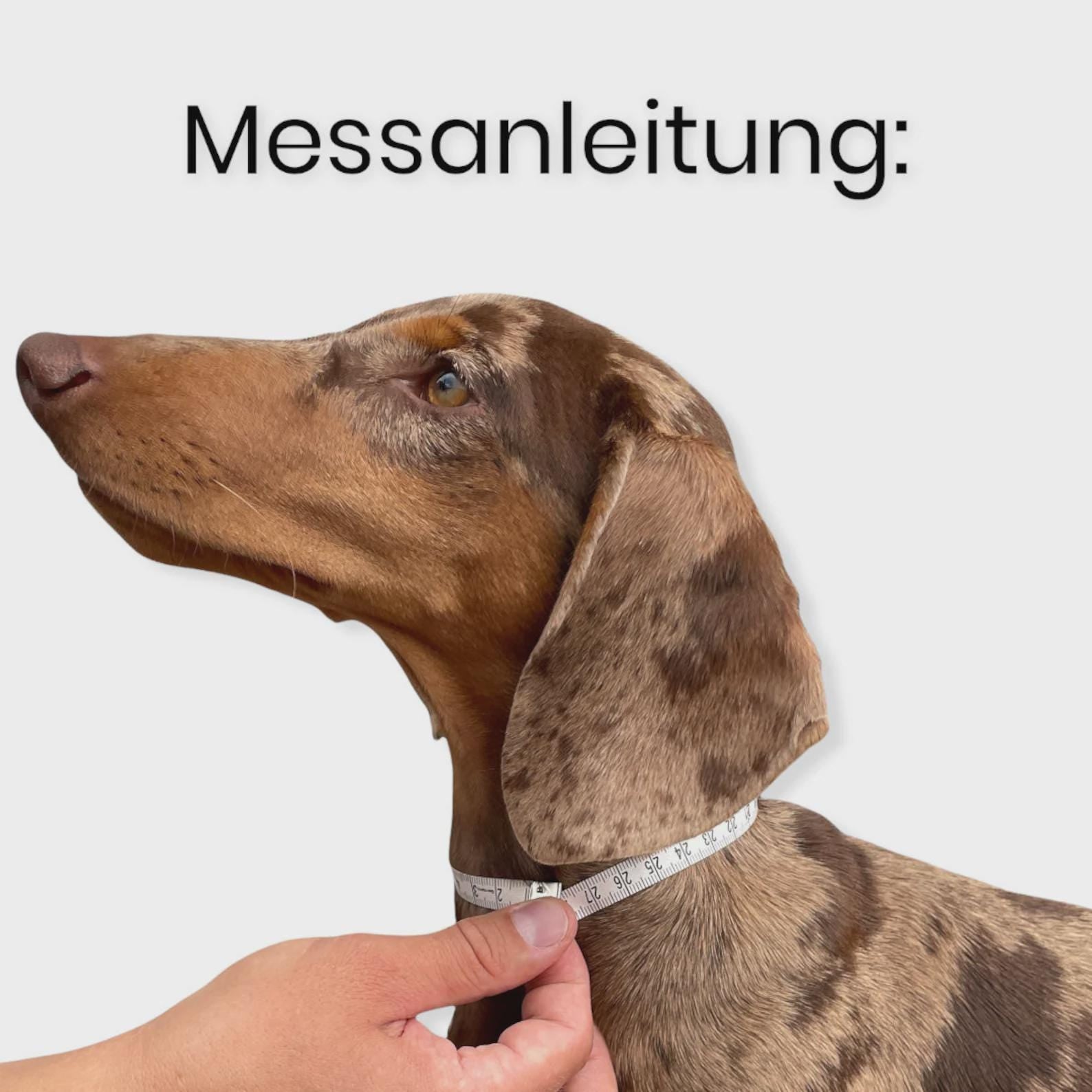 Handgefertigtes Leder Hundehalsband | Pflanzlich Gegerbtes Premium Leder | Namensgravur | 1,6, 2,5 cm Halsband | Geschenk für Hunde