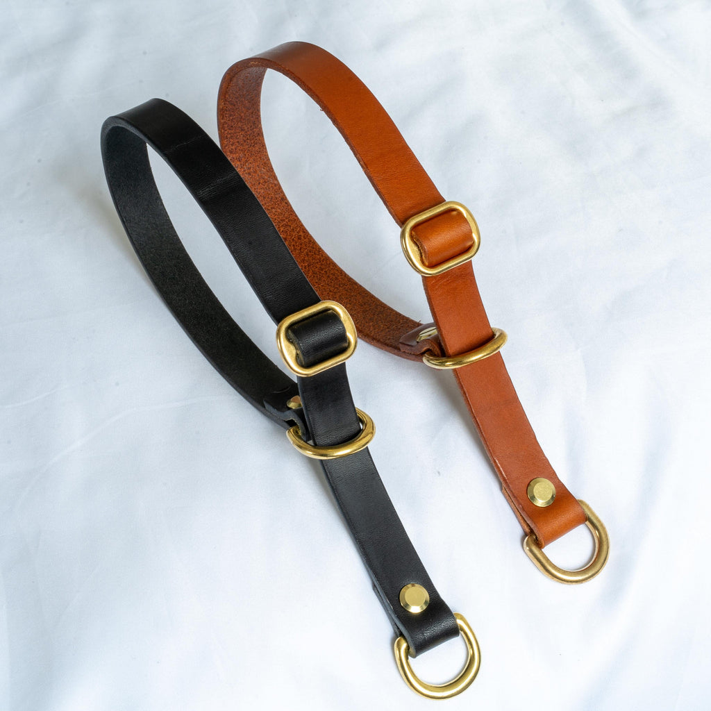 Handgefertigtes Leder Hundehalsband | Pflanzlich Gegerbtes Premium Leder | Namensgravur | Messing Hardware | Geschenk für Hunde