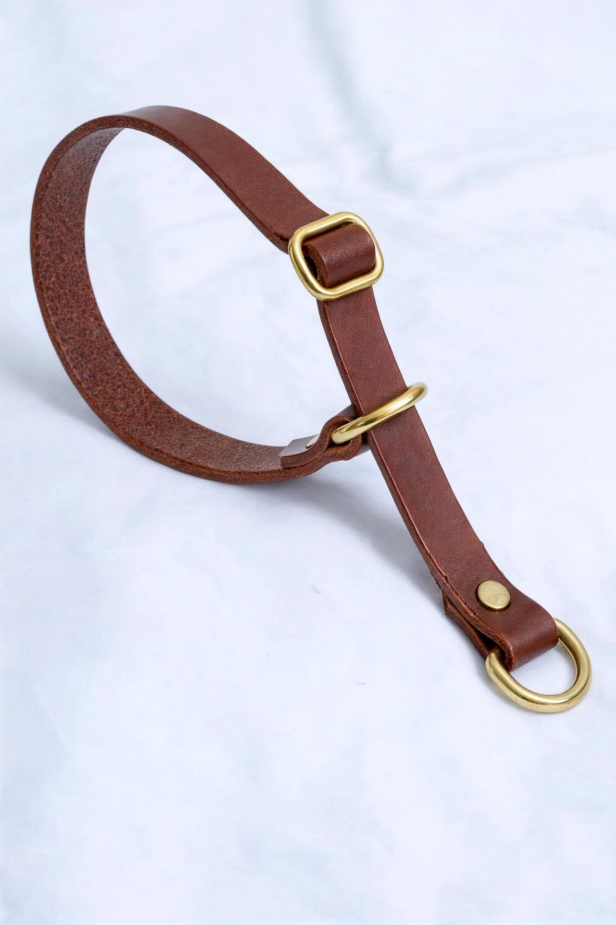 Handgefertigtes Leder Hundehalsband | Pflanzlich Gegerbtes Premium Leder | Namensgravur | Messing Hardware | Geschenk für Hunde