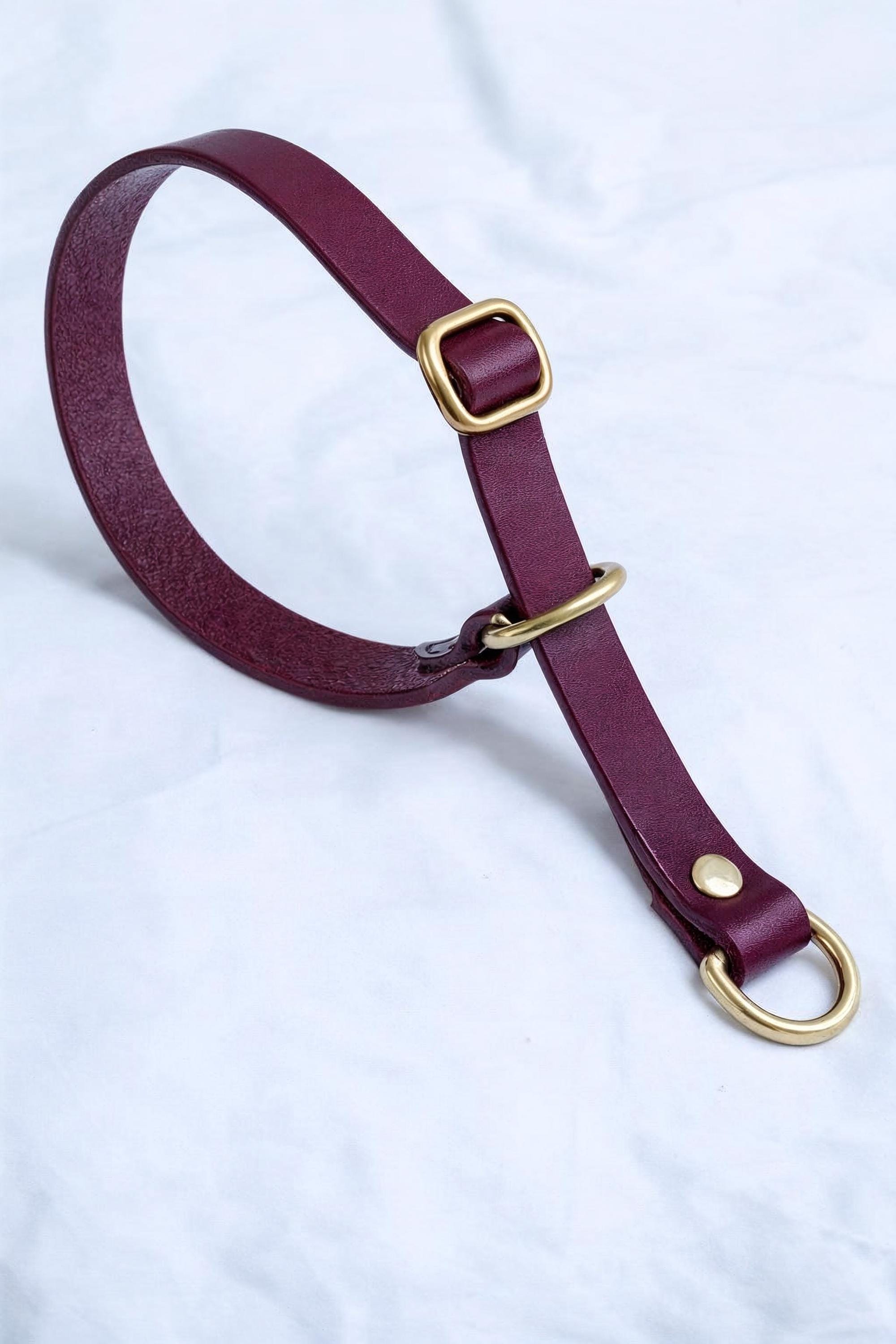 Handgefertigtes Leder Hundehalsband | Pflanzlich Gegerbtes Premium Leder | Namensgravur | Messing Hardware | Geschenk für Hunde