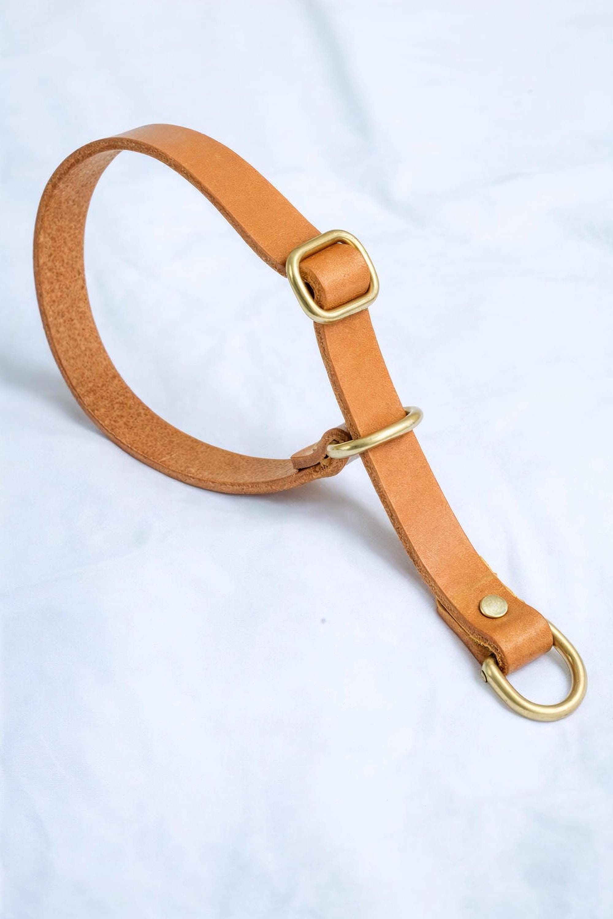 Handgefertigtes Leder Hundehalsband | Pflanzlich Gegerbtes Premium Leder | Namensgravur | Messing Hardware | Geschenk für Hunde