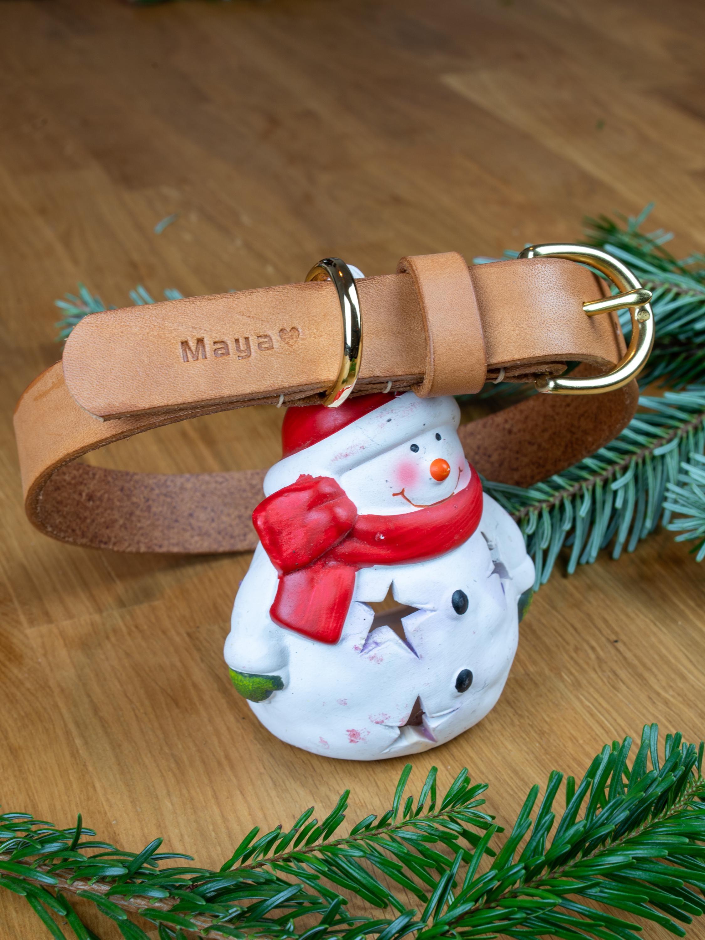 Handgefertigtes Leder Hundehalsband | Pflanzlich Gegerbtes Premium Leder | Namensgravur | Messing Hardware | Geschenk für Hunde