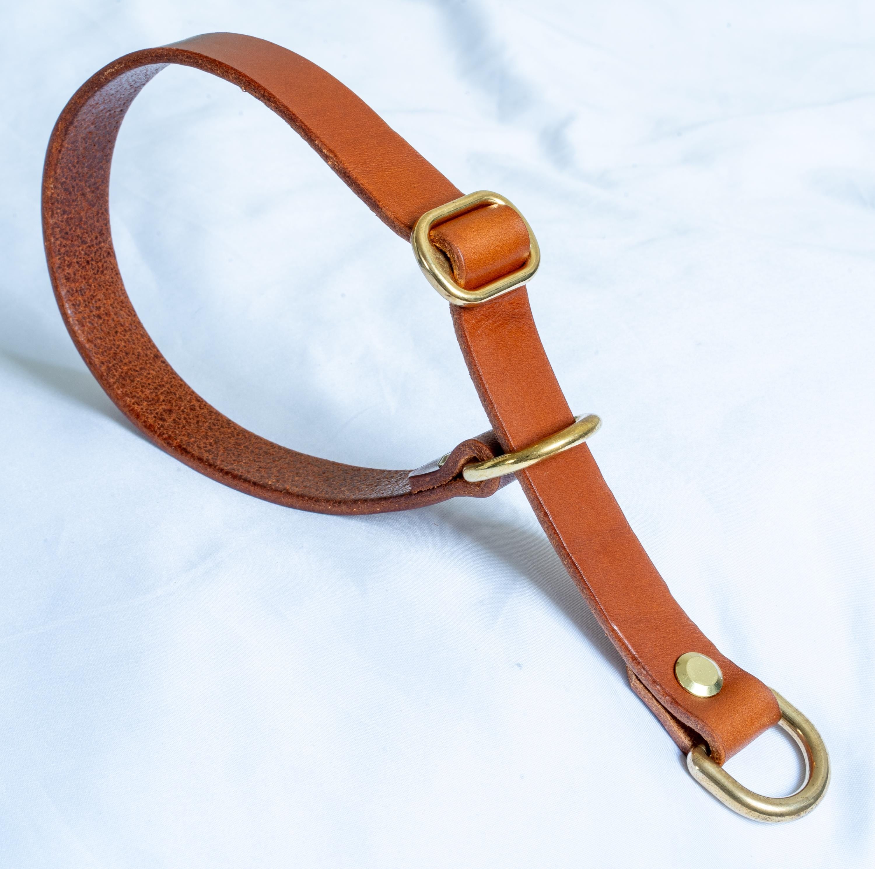 Handgefertigtes Leder Hundehalsband | Pflanzlich Gegerbtes Premium Leder | Namensgravur | Messing Hardware | Geschenk für Hunde