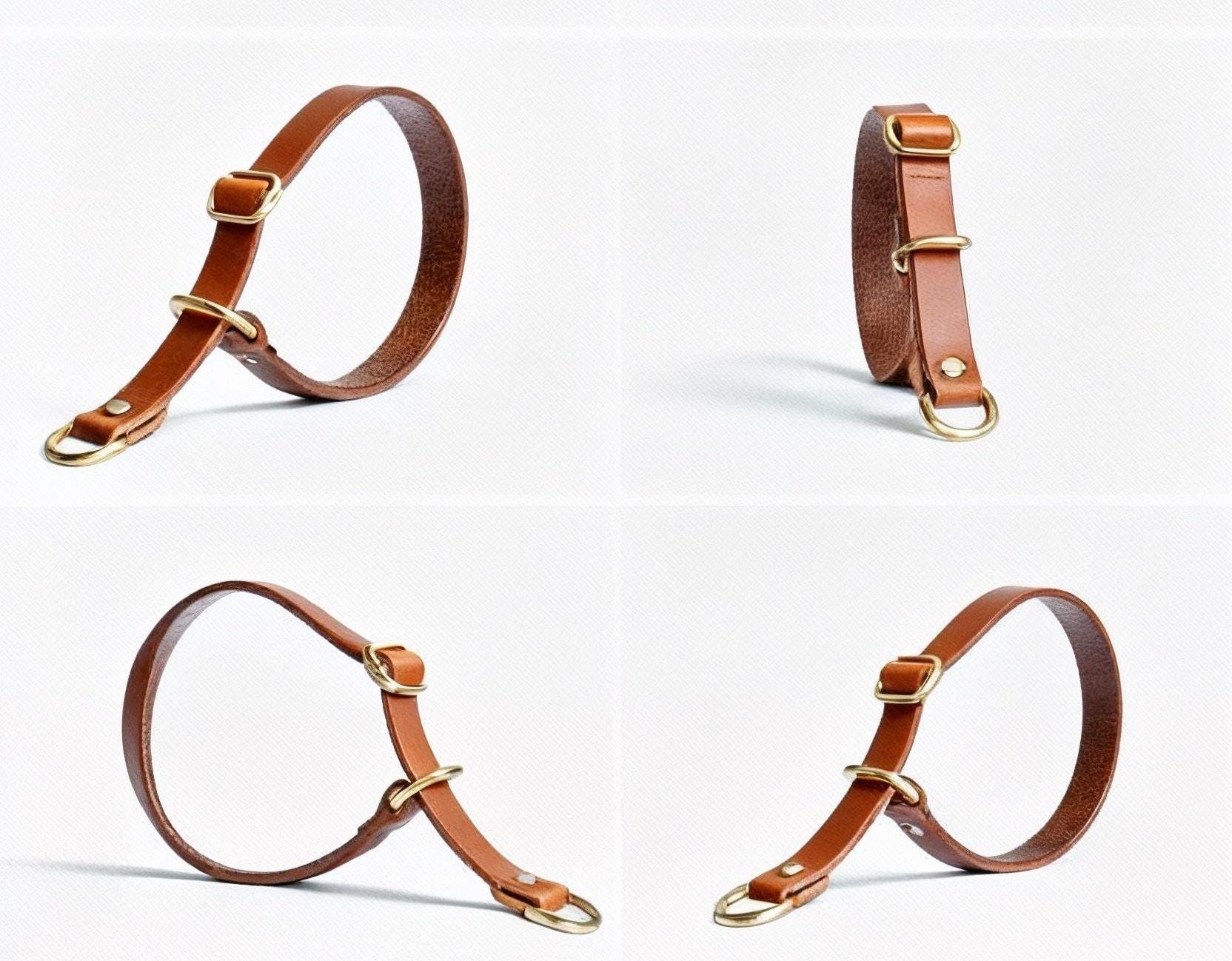 Handgefertigtes Leder Hundehalsband | Pflanzlich Gegerbtes Premium Leder | Namensgravur | Messing Hardware | Geschenk für Hunde