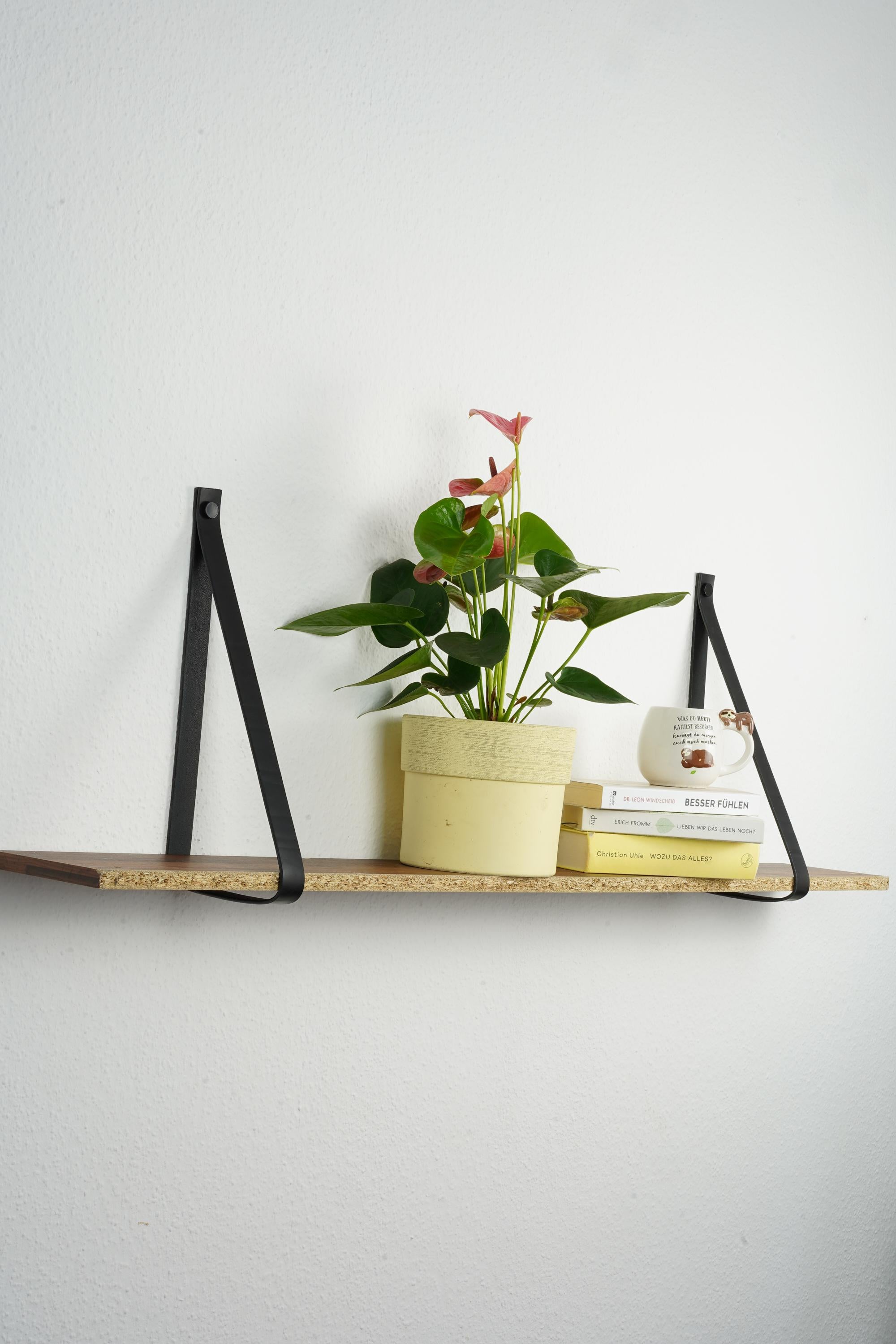 Hängeregal mit Lederriemen Leder l Leder Wandhalterung Regal | Handmade Leather Shelf Brackets | Plant Shelf l Lederriemen Regalträger