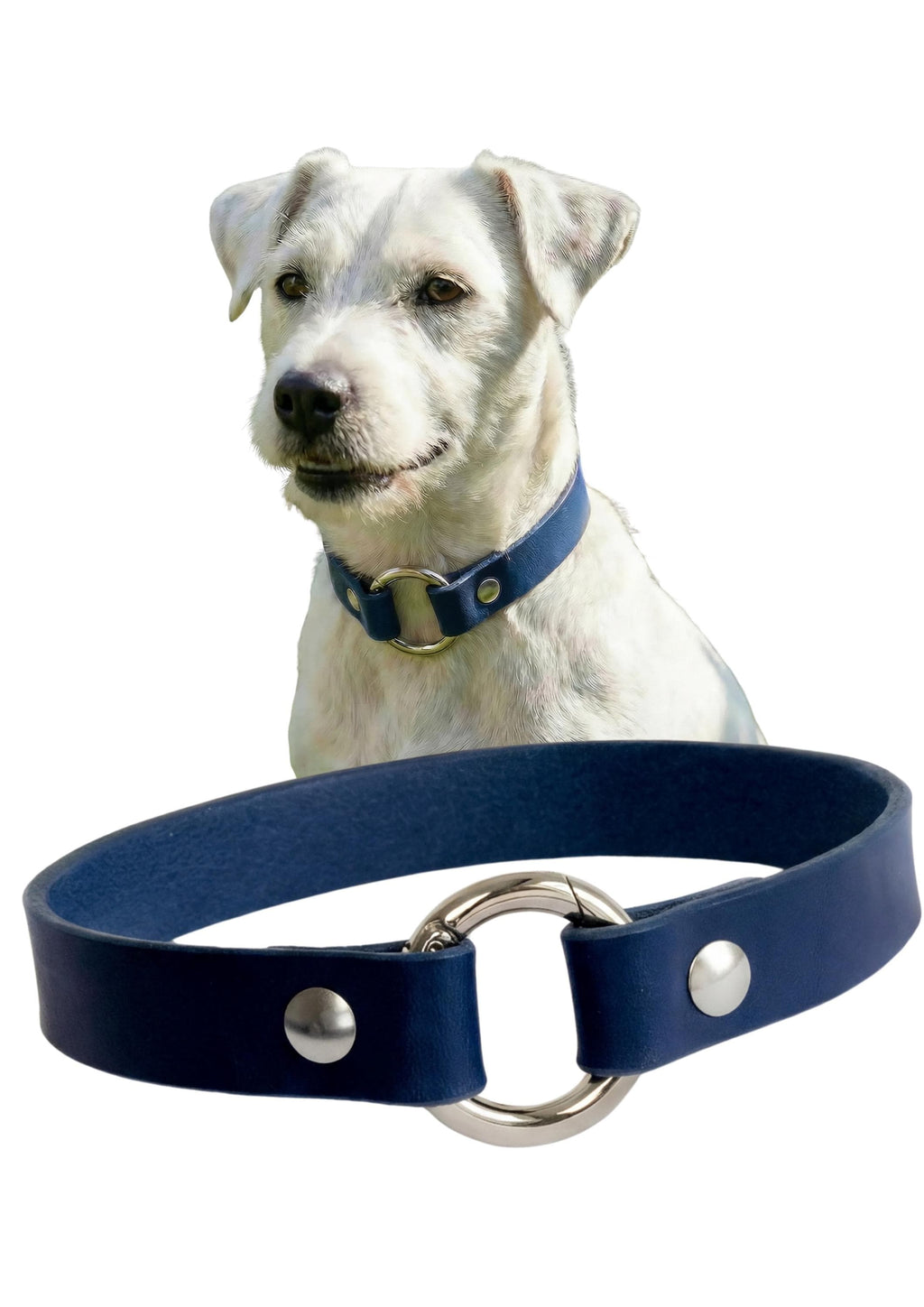 Leather Dog Collar Personalized, Handmade, Name Engraving, Vegetable Tanned Leather, Small Medium Dogs