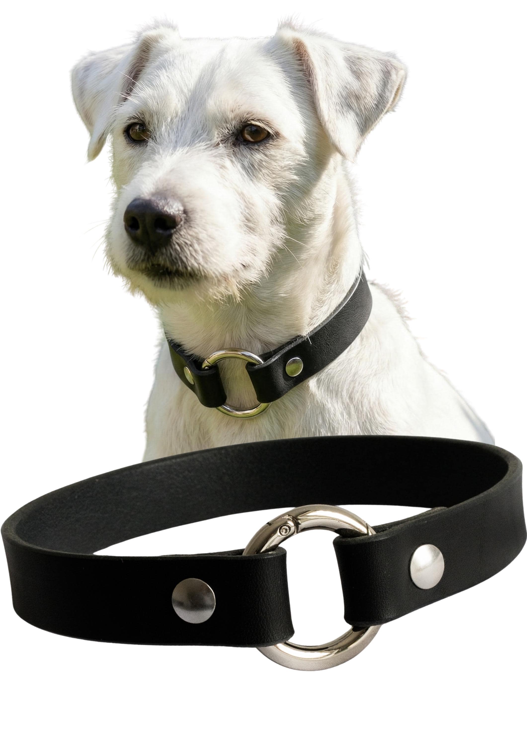 Leather Dog Collar Personalized, Handmade, Name Engraving, Vegetable Tanned Leather, Small Medium Dogs