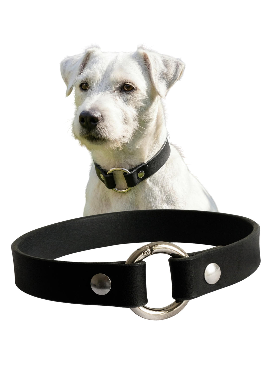 Leather Dog Collar Personalized, Handmade, Name Engraving, Vegetable Tanned Leather, Small Medium Dogs