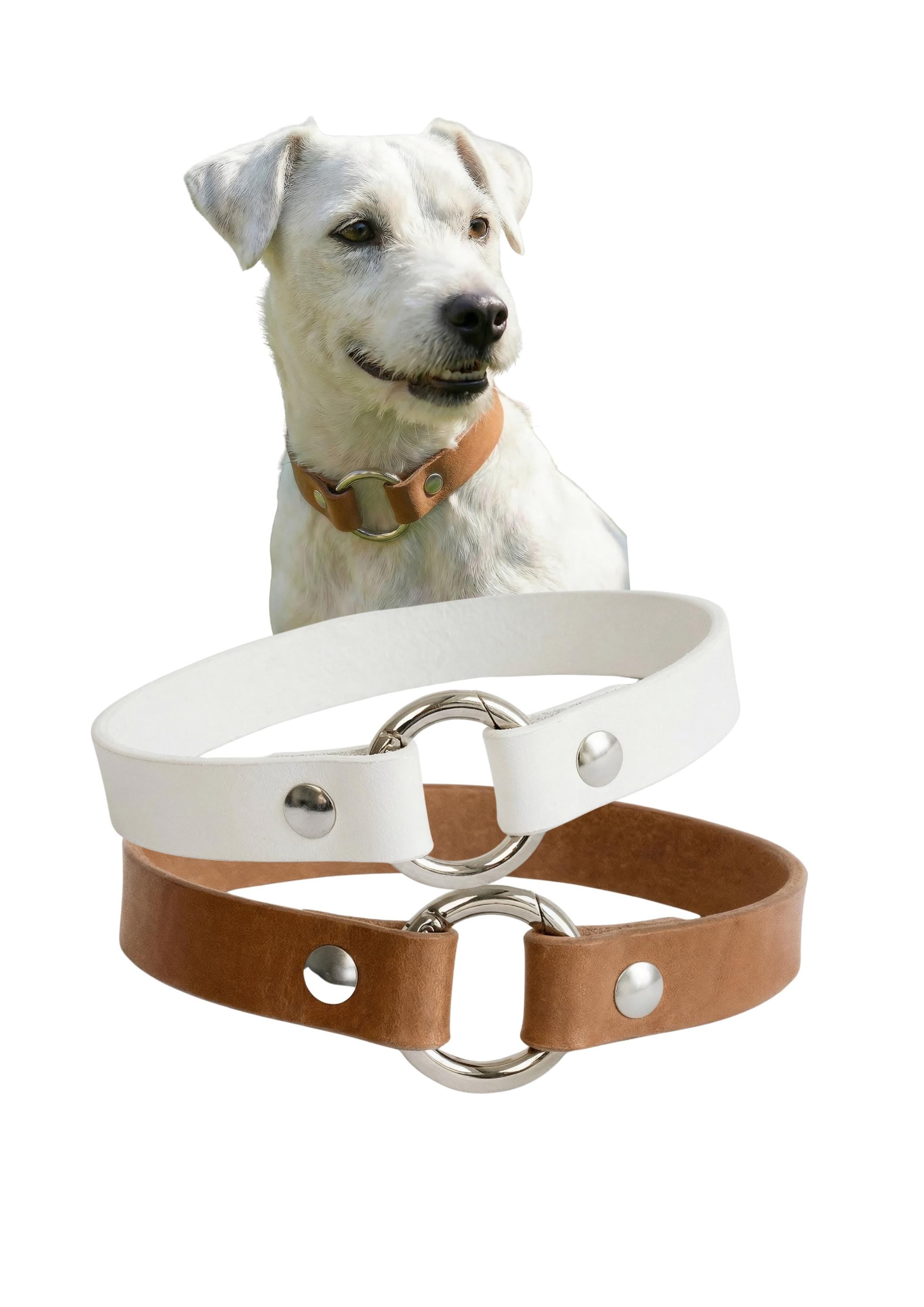 Leather Dog Collar Personalized, Handmade, Name Engraving, Vegetable Tanned Leather, Small Medium Dogs