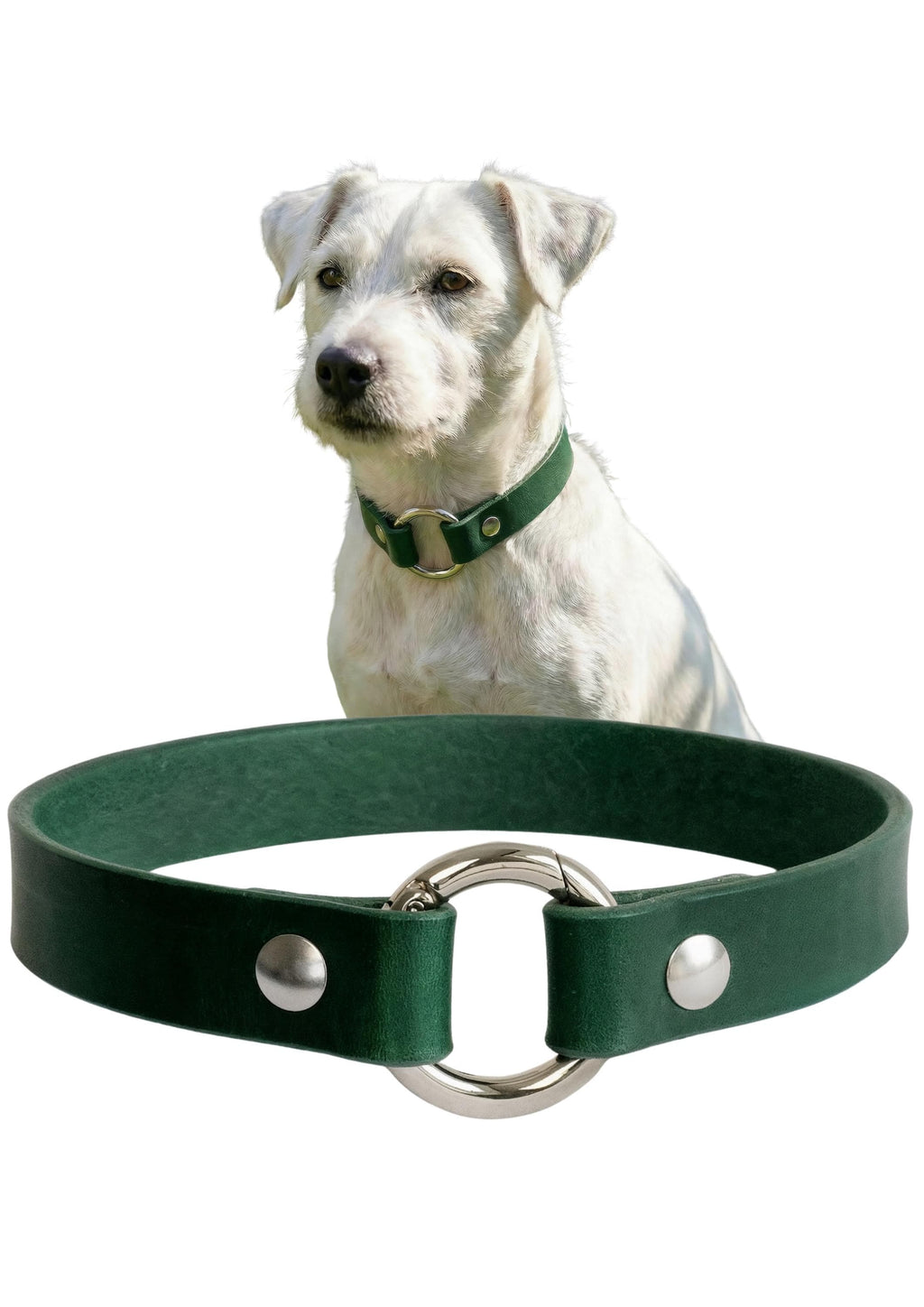 Leather Dog Collar Personalized, Handmade, Name Engraving, Vegetable Tanned Leather, Small Medium Dogs