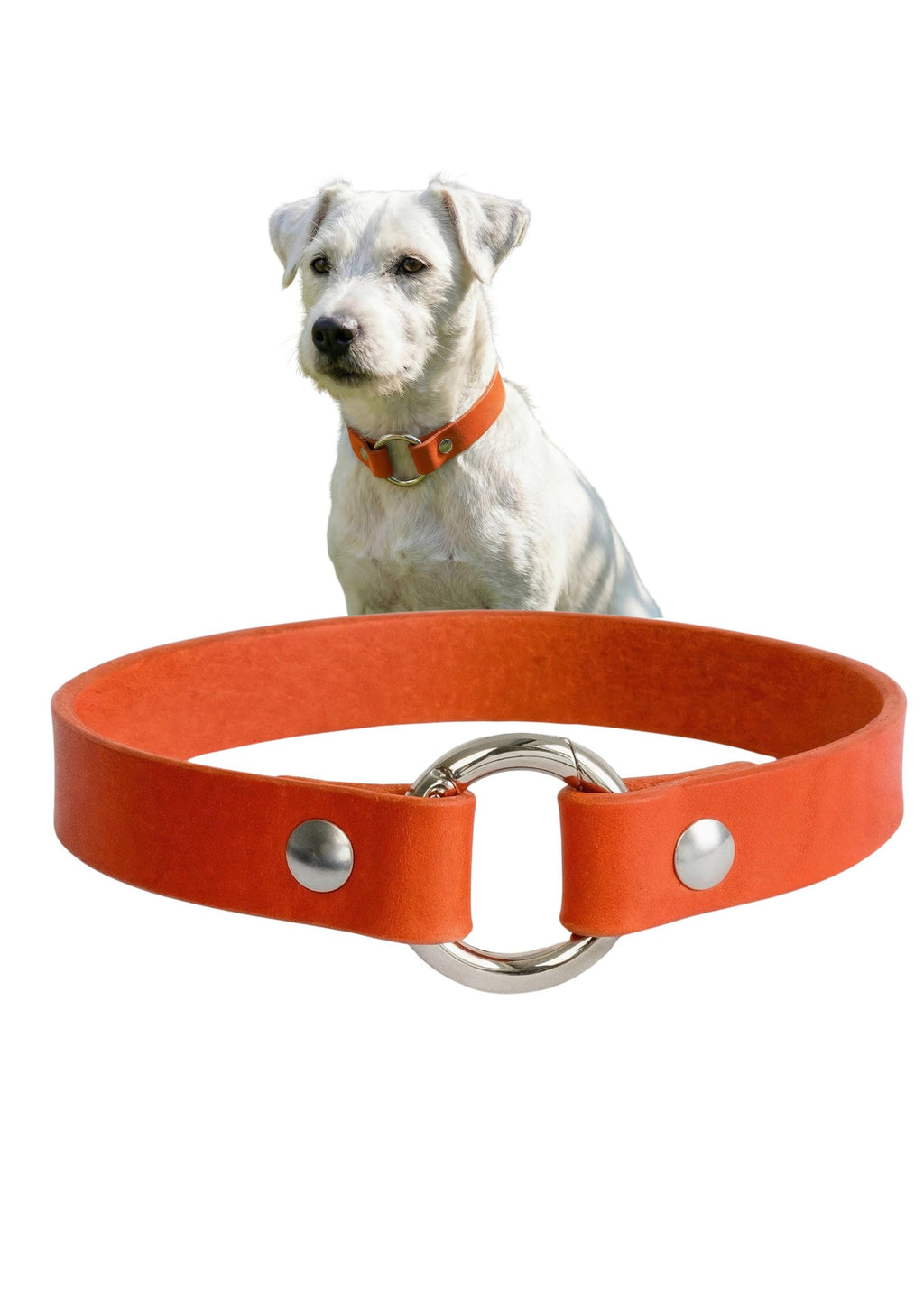 Leather Dog Collar Personalized, Handmade, Name Engraving, Vegetable Tanned Leather, Small Medium Dogs