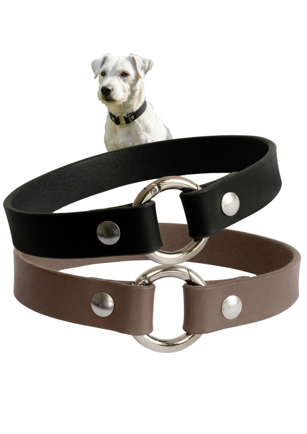 Leather Dog Collar Personalized, Handmade, Name Engraving, Vegetable Tanned Leather, Small Medium Dogs