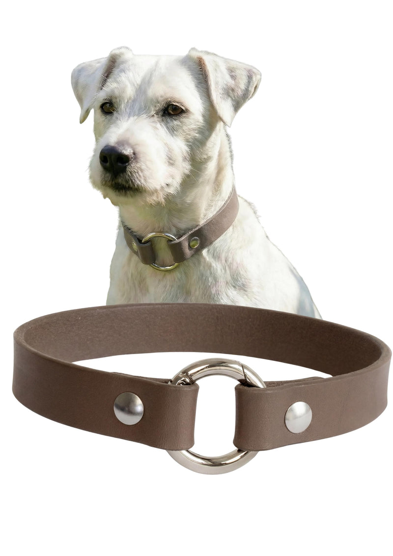 Leather Dog Collar Personalized, Handmade, Name Engraving, Vegetable Tanned Leather, Small Medium Dogs