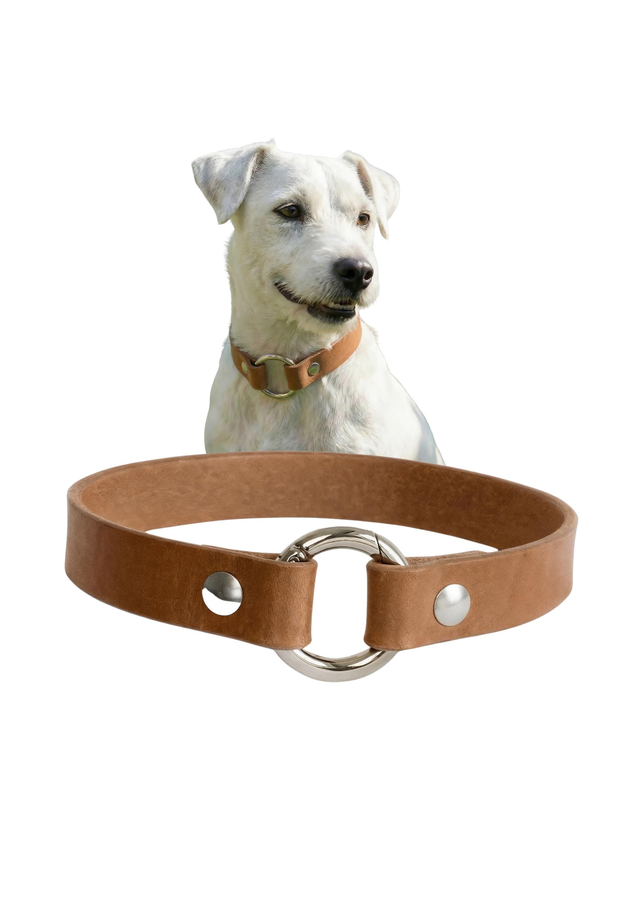 Leather Dog Collar Personalized, Handmade, Name Engraving, Vegetable Tanned Leather, Small Medium Dogs