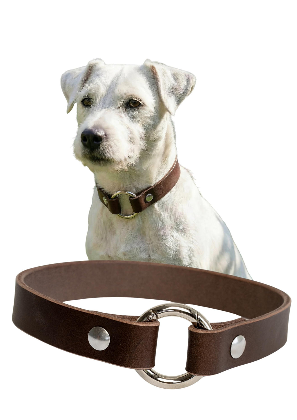 Leather Dog Collar Personalized, Handmade, Name Engraving, Vegetable Tanned Leather, Small Medium Dogs