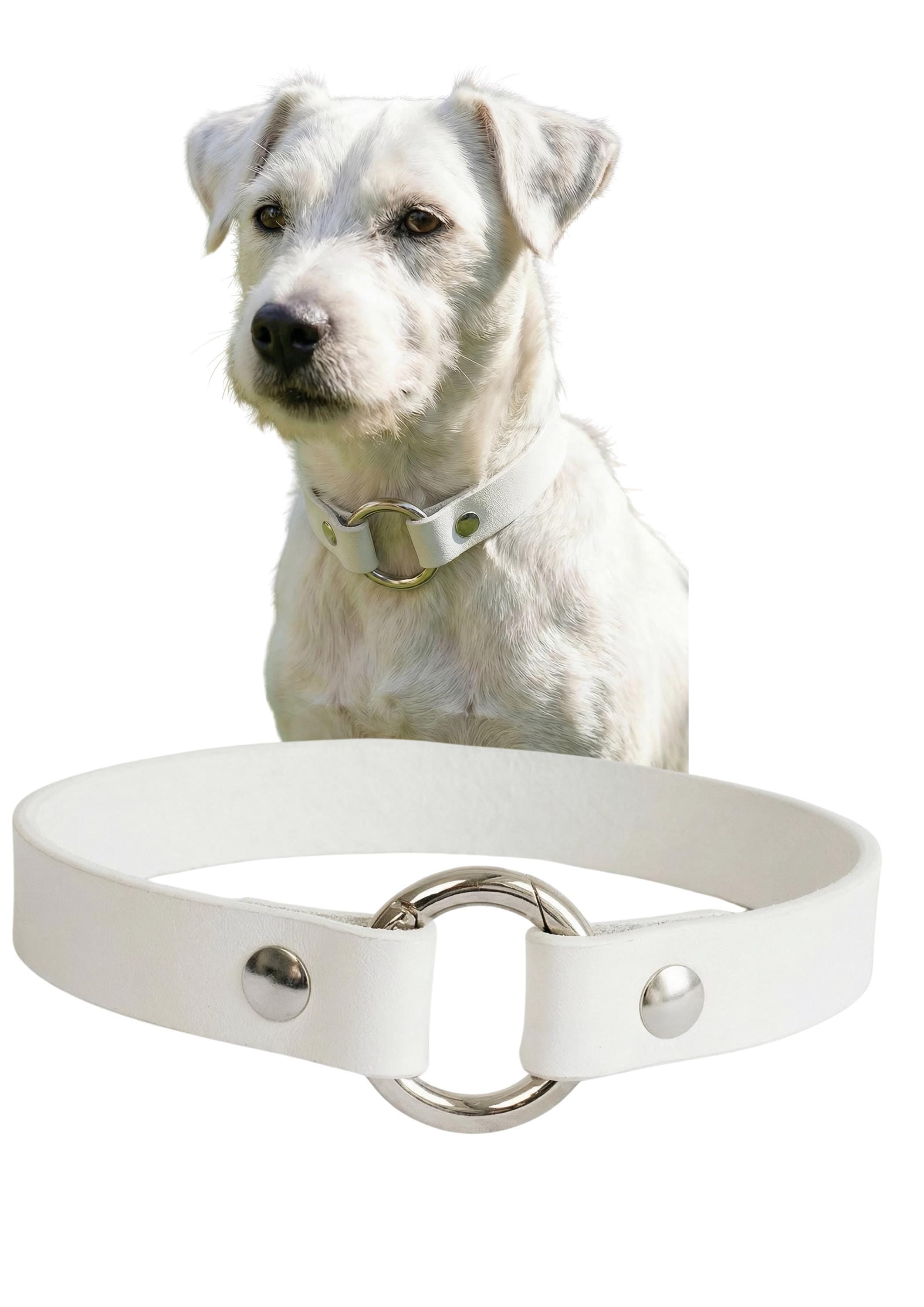 Leather Dog Collar Personalized, Handmade, Name Engraving, Vegetable Tanned Leather, Small Medium Dogs