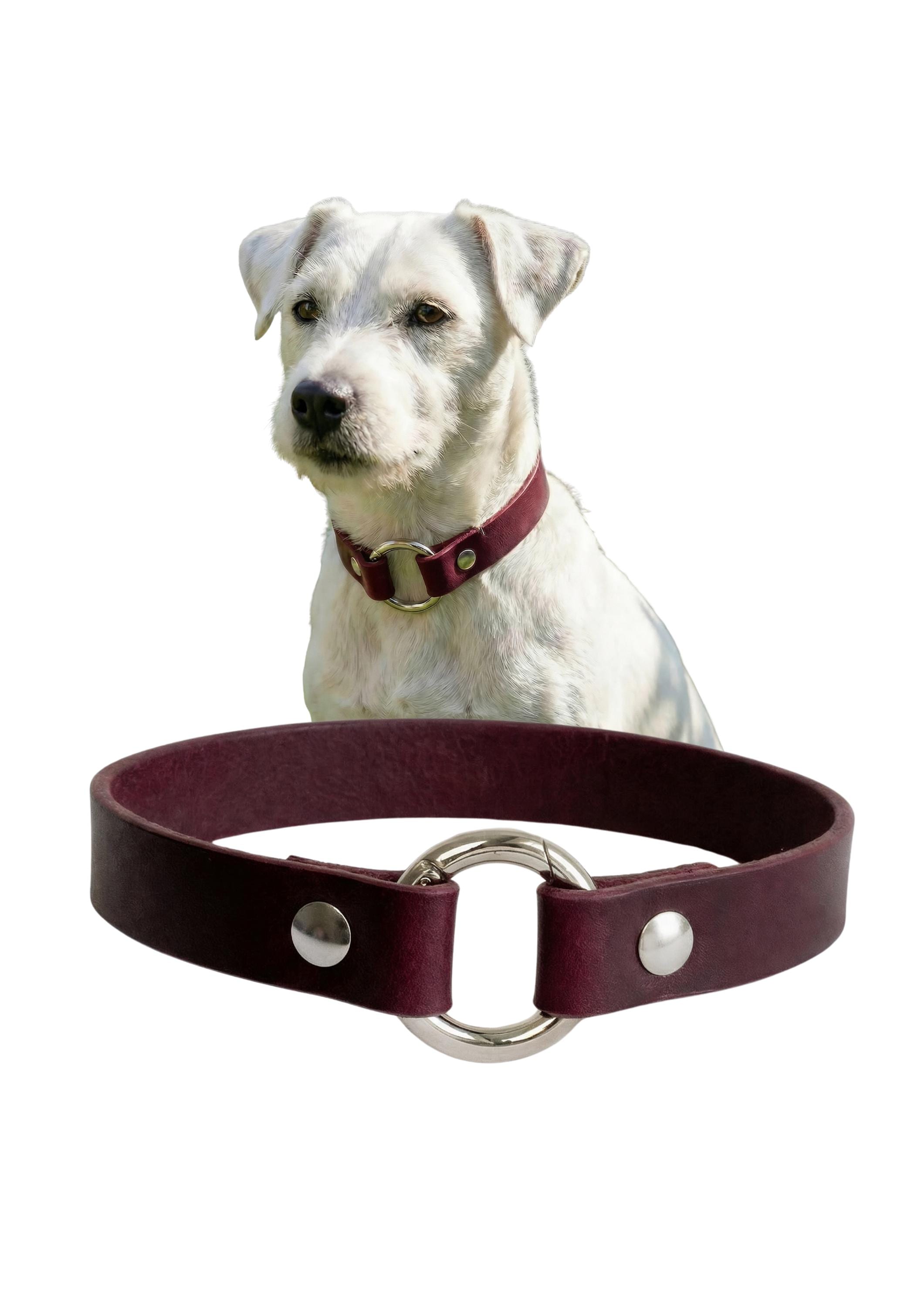 Leather Dog Collar Personalized, Handmade, Name Engraving, Vegetable Tanned Leather, Small Medium Dogs